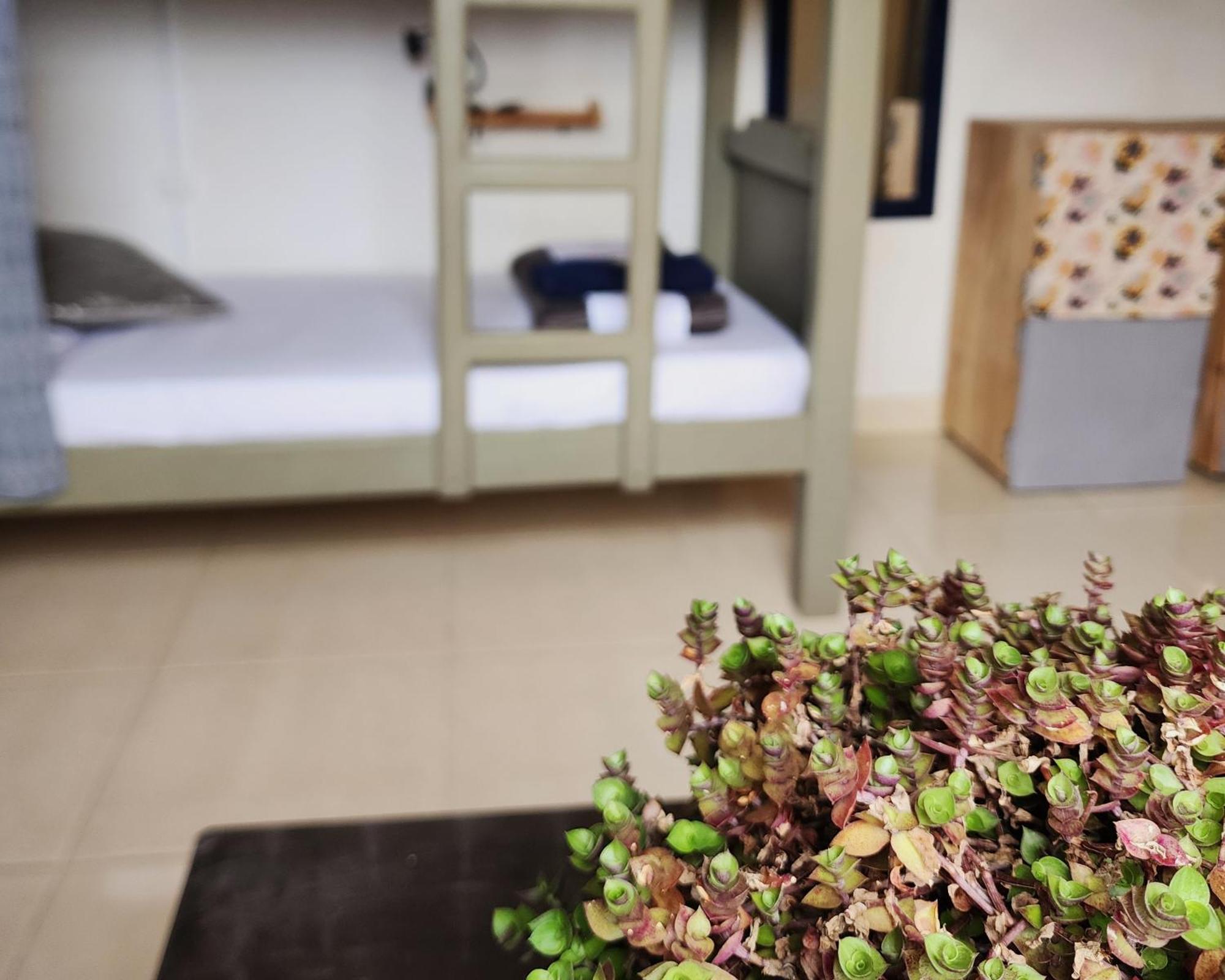 Casa Kayam Art Hostel Coliving Coworking Guatapé Rom bilde