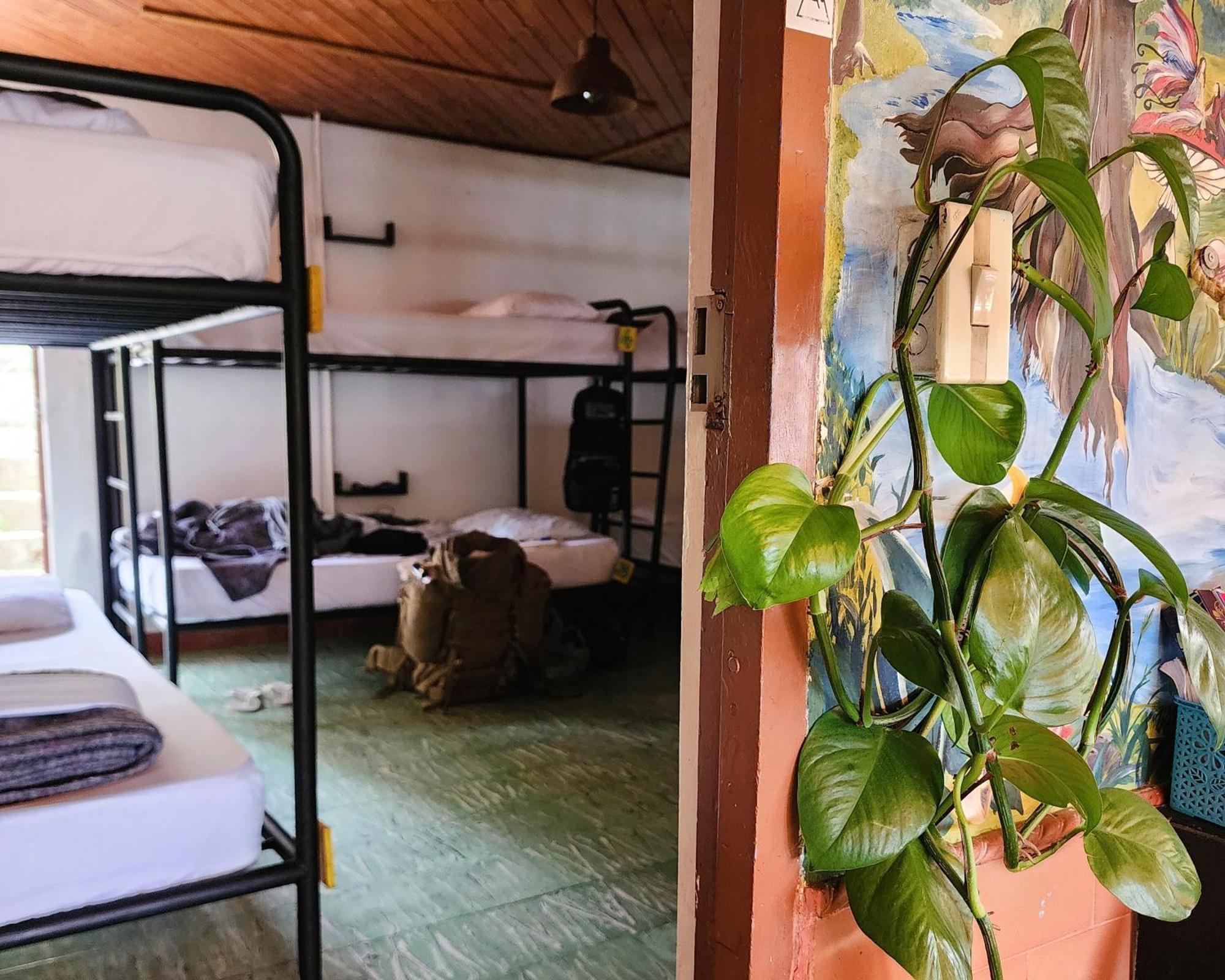 Casa Kayam Art Hostel Coliving Coworking Guatapé Eksteriør bilde