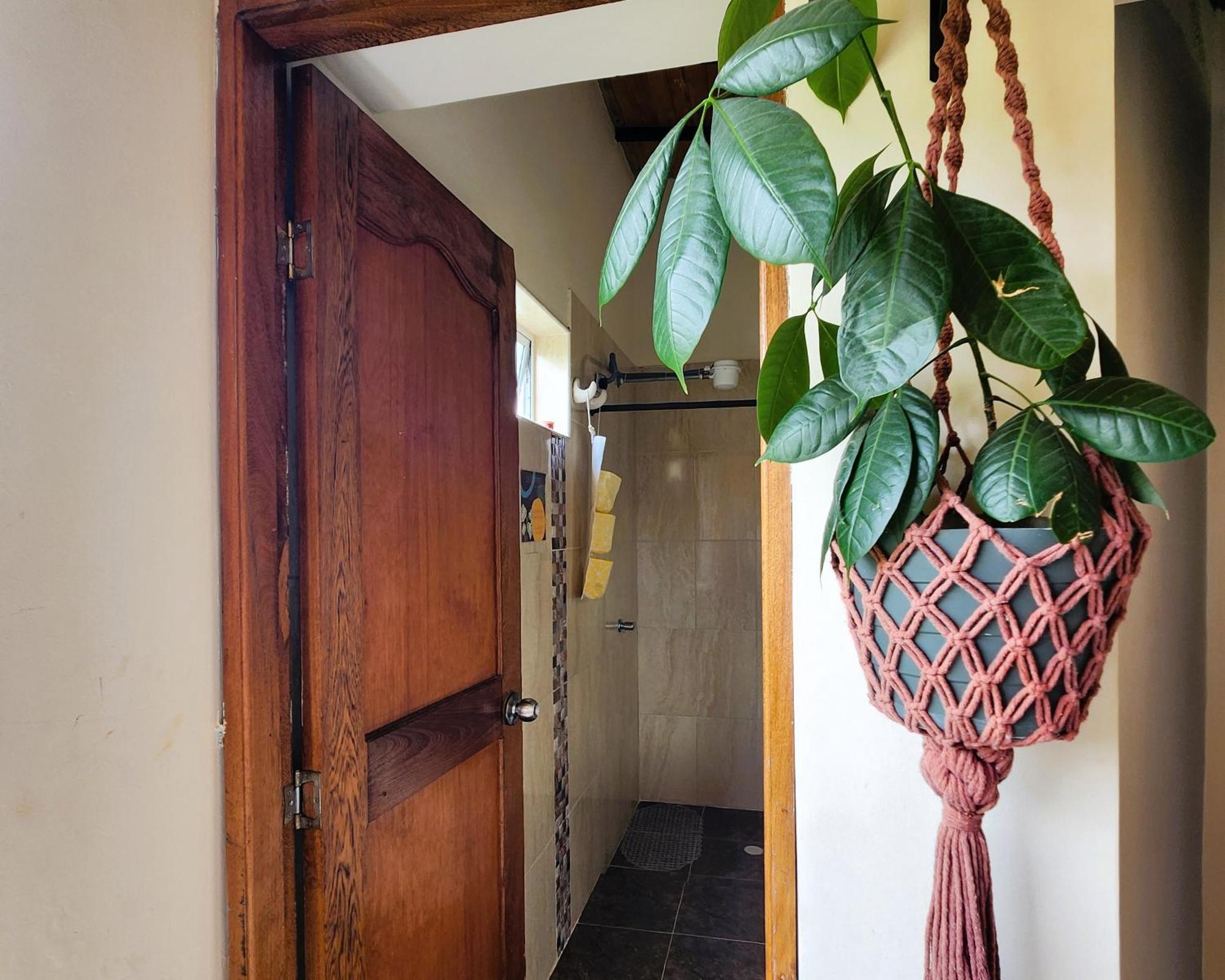 Casa Kayam Art Hostel Coliving Coworking Guatapé Rom bilde